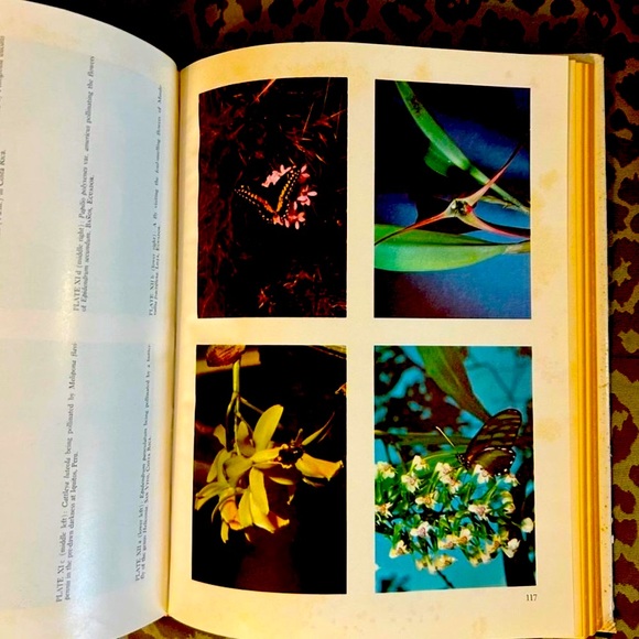 Orchid Flowers: Their Pollination and Evolution Hardbound Reference Book - Picture 7 of 12